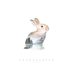 Rabbit B2 Print