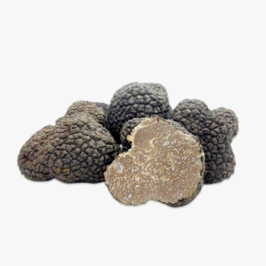 Tartufo Nero Estivo Fresco
