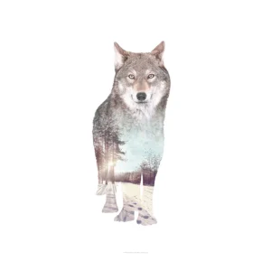 Wolf B2 Print