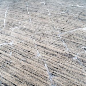 Tappeto Loft Design 294X186