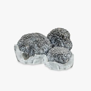 Macinato di Tartufo Estivo Surgelato